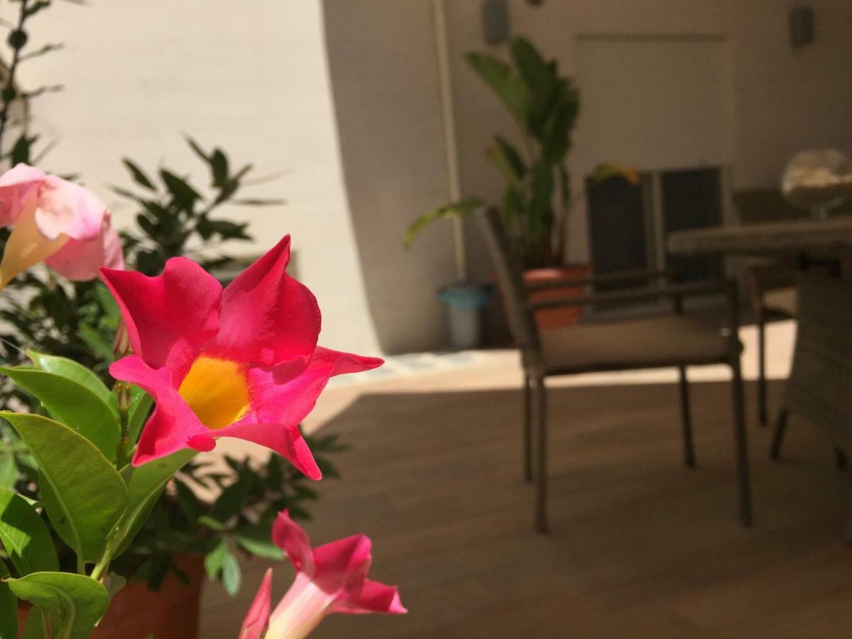 Casa Roberta Bed & Breakfast โมโนโปลี ภายนอก รูปภาพ